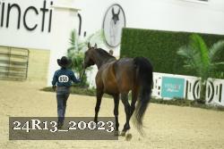 24R13_20023 thumbnail