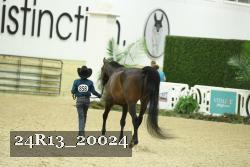 24R13_20024 thumbnail