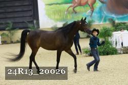 24R13_20026 thumbnail