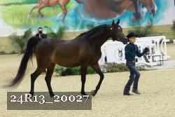 24R13_20027 thumbnail