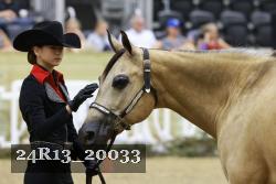 24R13_20033 thumbnail