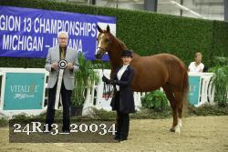 24R13_20034 thumbnail