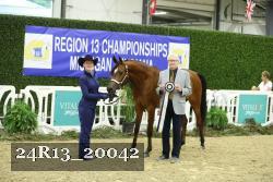 24R13_20042 thumbnail