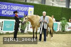 24R13_20046 thumbnail
