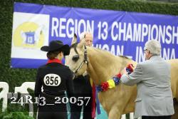 24R13_20057 thumbnail