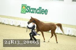 24R13_20065 thumbnail