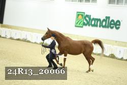 24R13_20066 thumbnail