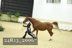 24R13_20067 thumbnail