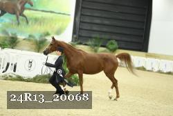 24R13_20068 thumbnail