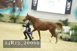 24R13_20069 thumbnail