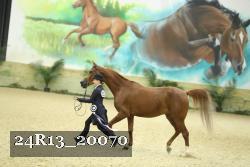 24R13_20070 thumbnail