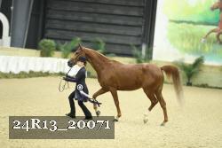 24R13_20071 thumbnail