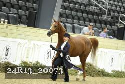 24R13_20073 thumbnail