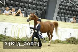 24R13_20074 thumbnail