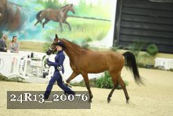 24R13_20076 thumbnail