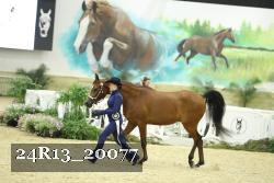 24R13_20077 thumbnail