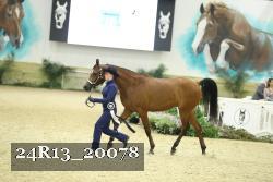 24R13_20078 thumbnail