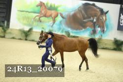 24R13_20079 thumbnail