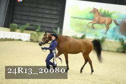 24R13_20080 thumbnail