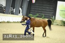 24R13_20081 thumbnail