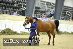 24R13_20082 thumbnail
