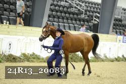 24R13_20083 thumbnail
