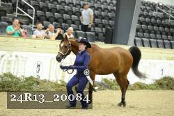 24R13_20084 thumbnail