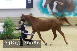 24R13_20086 thumbnail