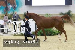 24R13_20087 thumbnail