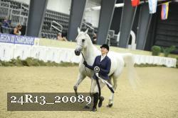 24R13_20089 thumbnail