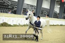 24R13_20090 thumbnail