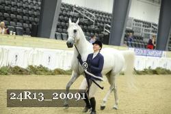 24R13_20091 thumbnail
