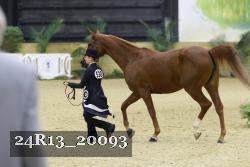 24R13_20093 thumbnail