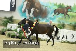 24R13_20094 thumbnail
