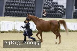 24R13_20095 thumbnail