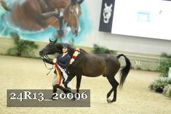 24R13_20096 thumbnail