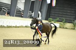 24R13_20099 thumbnail