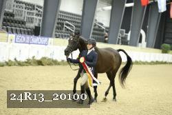 24R13_20100 thumbnail