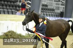 24R13_20101 thumbnail