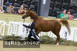 24R13_20102 thumbnail
