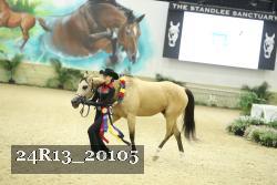 24R13_20105 thumbnail