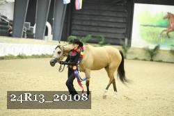 24R13_20108 thumbnail