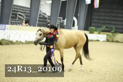 24R13_20109 thumbnail