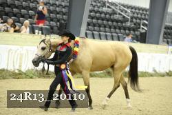 24R13_20110 thumbnail