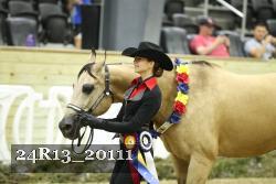 24R13_20111 thumbnail