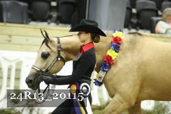 24R13_20115 thumbnail