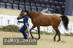24R13_20116 thumbnail