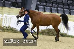 24R13_20117 thumbnail