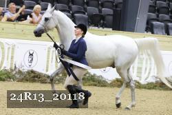 24R13_20118 thumbnail