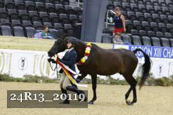 24R13_20119 thumbnail
